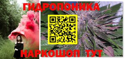 ГАЛЛЮЦИНОГЕННЫЕ ГРИБЫ Бийск